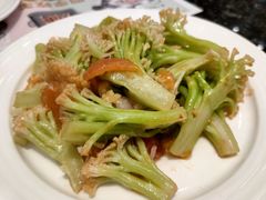 -新兴·金羊座·粤菜点心(乐峰店)