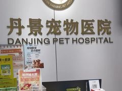 -丹景宠物医院·全科·老年病·牙科(武昌诊疗中心)