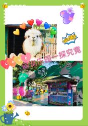 -萌宠亲子动物乐园(槐房万达店)