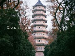 -灵谷景区
