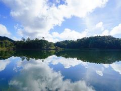-海南热带雨林国家公园吊罗山景区