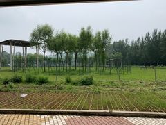 -哈尔滨北方森林动物园