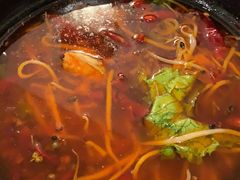 -熊猫川菜馆 panda chine