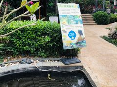 -台山颐和温泉城