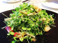 -美泉宫饭店美泉盛宴海鲜