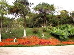 -玉树公园