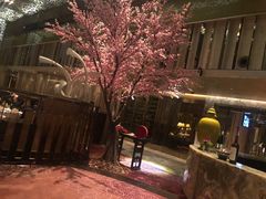-金轩中餐厅 Jin Xuan(浦东丽思卡尔顿酒店)
