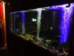 -芽庄MP泰式海鲜海景餐厅