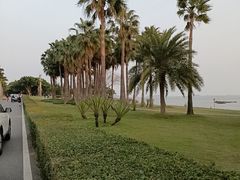 -黄金海岸环岛路