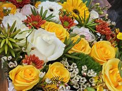 -西安电影制片厂