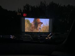 -枫花园汽车电影院(朝阳公园店)