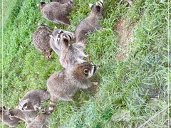 -秦皇岛野生动物园
