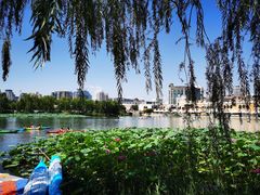 -WhaleSports户外水上运动俱乐部(朝阳公园店)