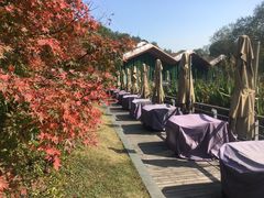 -西湖风景区-江洋畈生态公园
