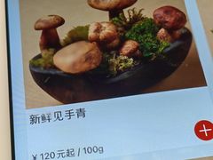 -滇野云南野生菌餐厅(陕西南路店)