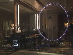 -新加坡丽思卡尔顿美年酒店