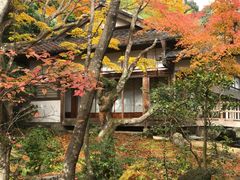 -常寂光寺