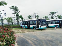 -芒洲湿地公园