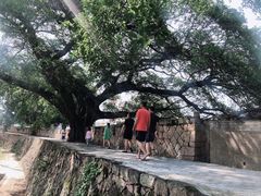 -大京沙滩