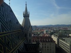 -斯蒂芬主教座堂(Stephansdom)