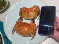 -翟辉冬瓜盅火锅(南村万博店)