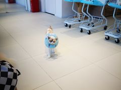 -怪兽屋·羊驼·猫咖·狗咖(俊华广场店)