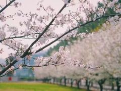 -同济大学(嘉定校区)