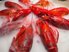 -红盔甲·小龙虾(定西路店)