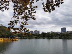 -月湖公园