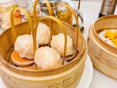 招牌虾饺皇-金鼎轩(方庄天坛店)