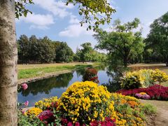 -上海共青森林公园