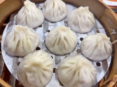-莱莱小笼·乔艾