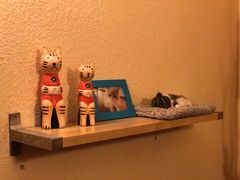 -猫友咖啡店(玉林西路店)