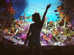 -暹罗海洋世界