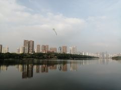 -南宁南湖公园