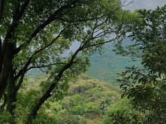 -梧桐山风景名胜区