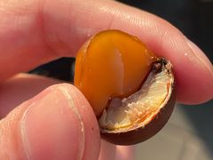 -秋栗香(地安门店)