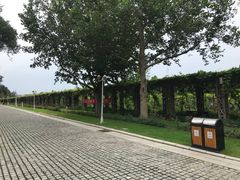 -北京张裕爱斐堡酒庄