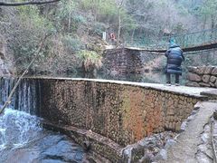 -大奇山国家森林公园