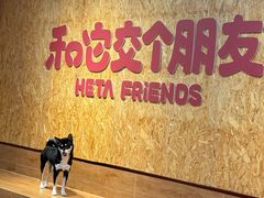 -和它·交个朋友·狗咖猫咖(爱琴海店)