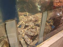 -海景壹号大酒店(滨湖店)