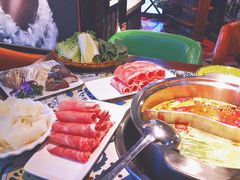 肥羊-胖锅轩(水塔店)