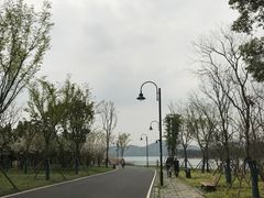 -东湖落雁景区