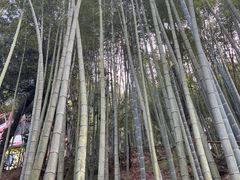 -中国花亭湖风景名胜区-西风禅寺