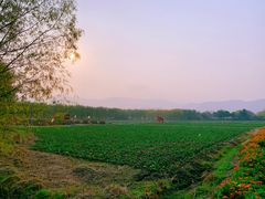 -长兴太湖图影湿地文化园