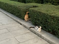 -烈士陵园(地铁站)