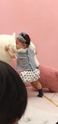 -玛瑞莎·儿童·亲子摄影(越秀店)