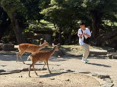 -奈良公园