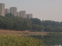 -丁香湖公园