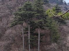-玉渡山自然风景区